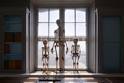 museum de histoire naturelle rouen 8-2021 9581